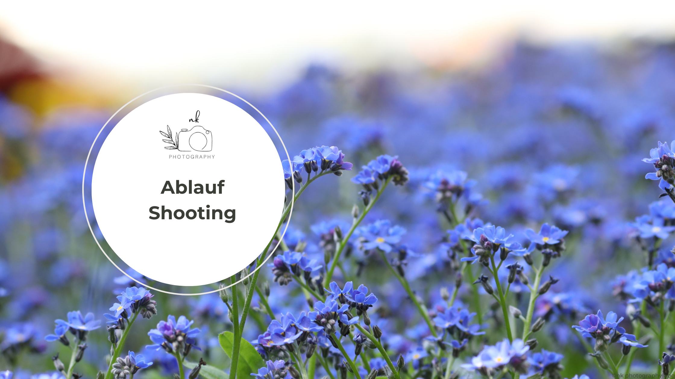 Ablauf eines Fotoshootings