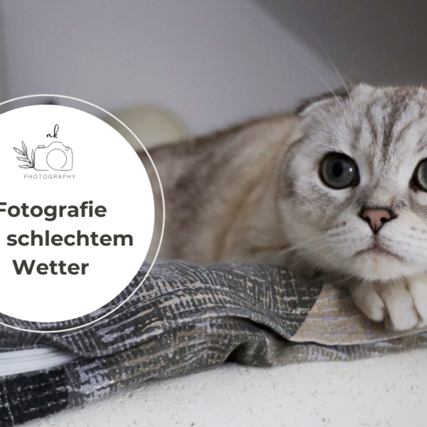 Fotografieren bei schlechtem Wetter