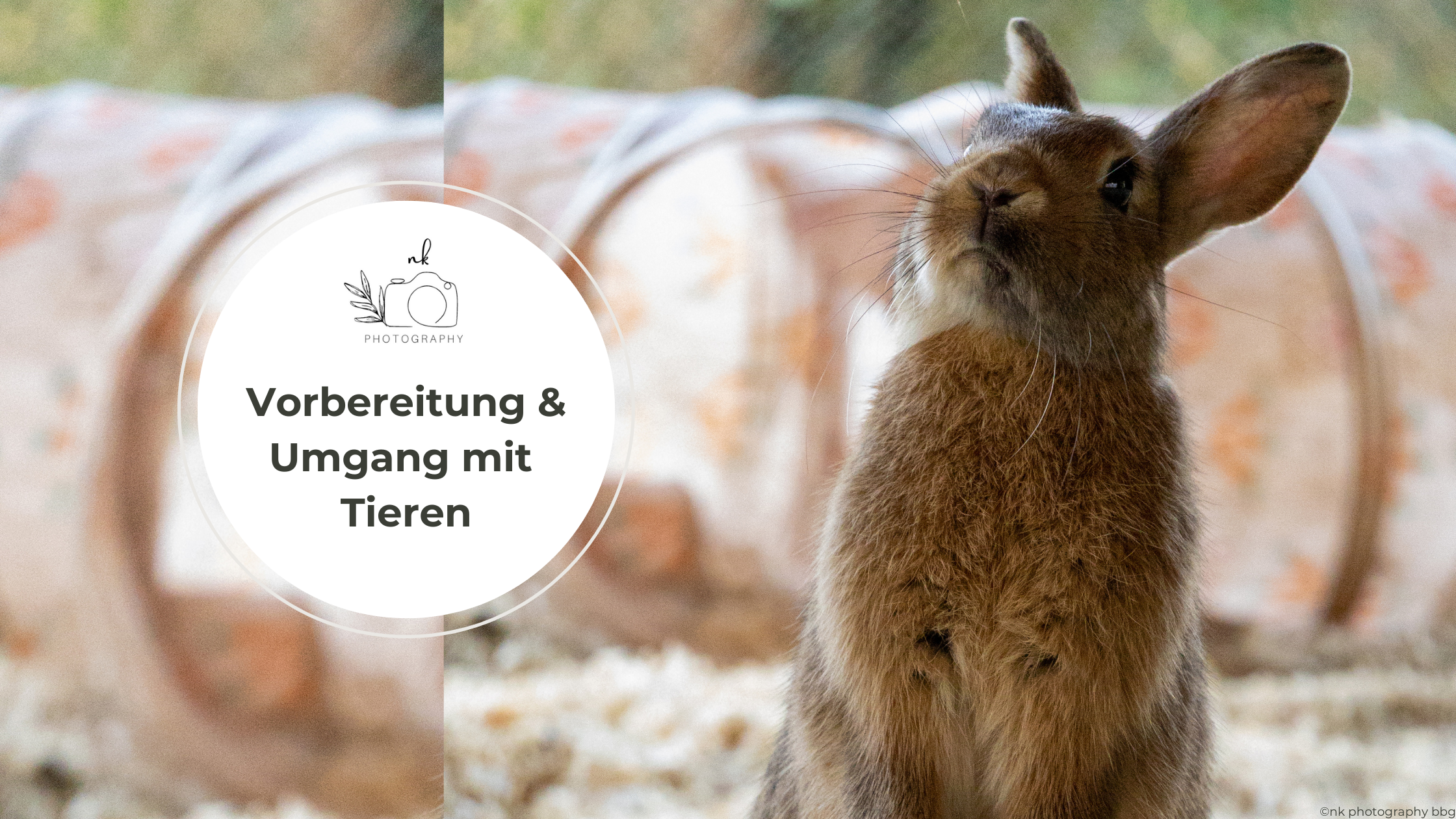 Vorbereitung und Umgang mit Haustieren bei einem Fotoshooting